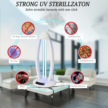 UV Lamp Desktop Uv Light Sterilizer Germicidal Lamp Sterilization Desklamp With Ozone For Killing
UV Lamp Desktop Uv Light Sterilizer Germicidal Lamp Sterilization Desklamp With Ozone For Killing