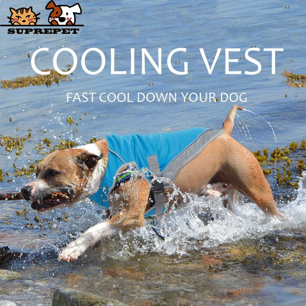 SUPREPET Summer Designer Dog Clothes for Large Small Dog Cooling Dog Vests Rainbow Pet Accessories French Bulldog Vest Outdoor
SUPREPET Summer Designer Dog Clothes for Large Small Dog Cooling Dog Vests Rainbow Pet Accessories French Bulldog Vest Outdoor