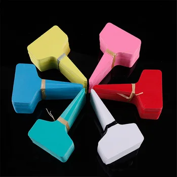 50PCS Colorful Plant Markers Garden Bonsai Succulent Seedings Tags Sign PVC Gardening Labels Stake on Soil Paint Sticks
50PCS Colorful Plant Markers Garden Bonsai Succulent Seedings Tags Sign PVC Gardening Labels Stake on Soil Paint Sticks