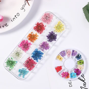 DIY 3D Pressed Blossom Flower Leaf Slider Sticker Polish Manicure Nail Art Decorations Mixed Natural Nail Dried Flower
DIY 3D Pressed Blossom Flower Leaf Slider Sticker Polish Manicure Nail Art Decorations Mixed Natural Nail Dried Flower