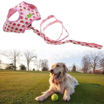 Cute Strawberry Print Small Pet Adjustable Harness with Leash Escape Proof Breathable Mesh Cat Dog Walking Harness Leads
Cute Strawberry Print Small Pet Adjustable Harness with Leash Escape Proof Breathable Mesh Cat Dog Walking Harness Leads