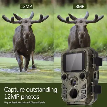 Night Vision Hunting Camera 12mp 1080p Wildlife Camera Scout Guard Infrared IR LEDS Range Up To 65ft Photo-Traps Hunting Cameras
Night Vision Hunting Camera 12mp 1080p Wildlife Camera Scout Guard Infrared IR LEDS Range Up To 65ft Photo-Traps Hunting Cameras