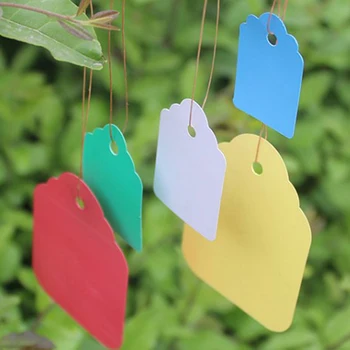 100pcs Waterproof Strip Line Plant Labels Plants Hang Tag Hanging Tags Flower Pot Marker Signs Garden Decoration Gardening Tool
100pcs Waterproof Strip Line Plant Labels Plants Hang Tag Hanging Tags Flower Pot Marker Signs Garden Decoration Gardening Tool