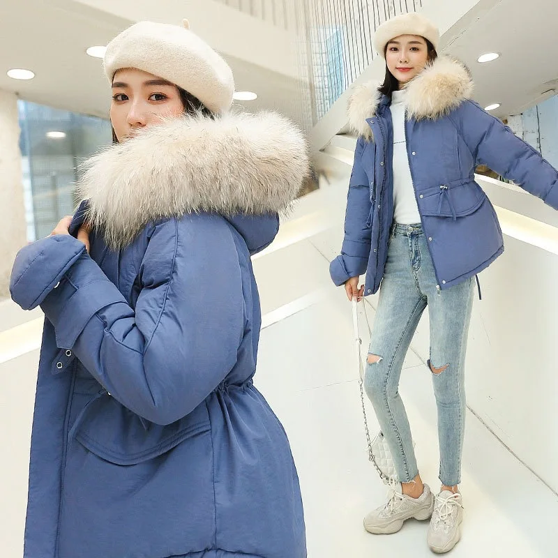 Winter Cotton Dress Women's 2019 Korean-style New Style down Coat Students Coat Thick Short Large Fur Collar down Feather Cotton 
Winter Cotton Dress Women's 2019 Korean-style New Style down Coat Students Coat Thick Short Large Fur Collar down Feather Cotton
