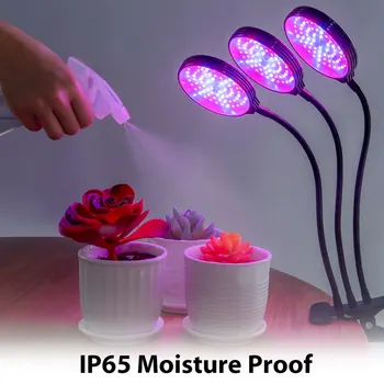 E27 LED Grow Light Full Spectrum Flexible Metal Hose Indoor Plant Lamp Clip-on Plant Growing Lights for Seedlings Flowers Growth
E27 LED Grow Light Full Spectrum Flexible Metal Hose Indoor Plant Lamp Clip-on Plant Growing Lights for Seedlings Flowers Growth