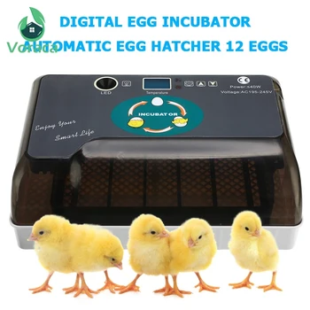 Digital 12 Eggs Egg Incubator Automatic Egg Hatcher Automatic Turning Chicken Duck Quail Pigeon Egg Incubator Poultry Suppliers
Digital 12 Eggs Egg Incubator Automatic Egg Hatcher Automatic Turning Chicken Duck Quail Pigeon Egg Incubator Poultry Suppliers