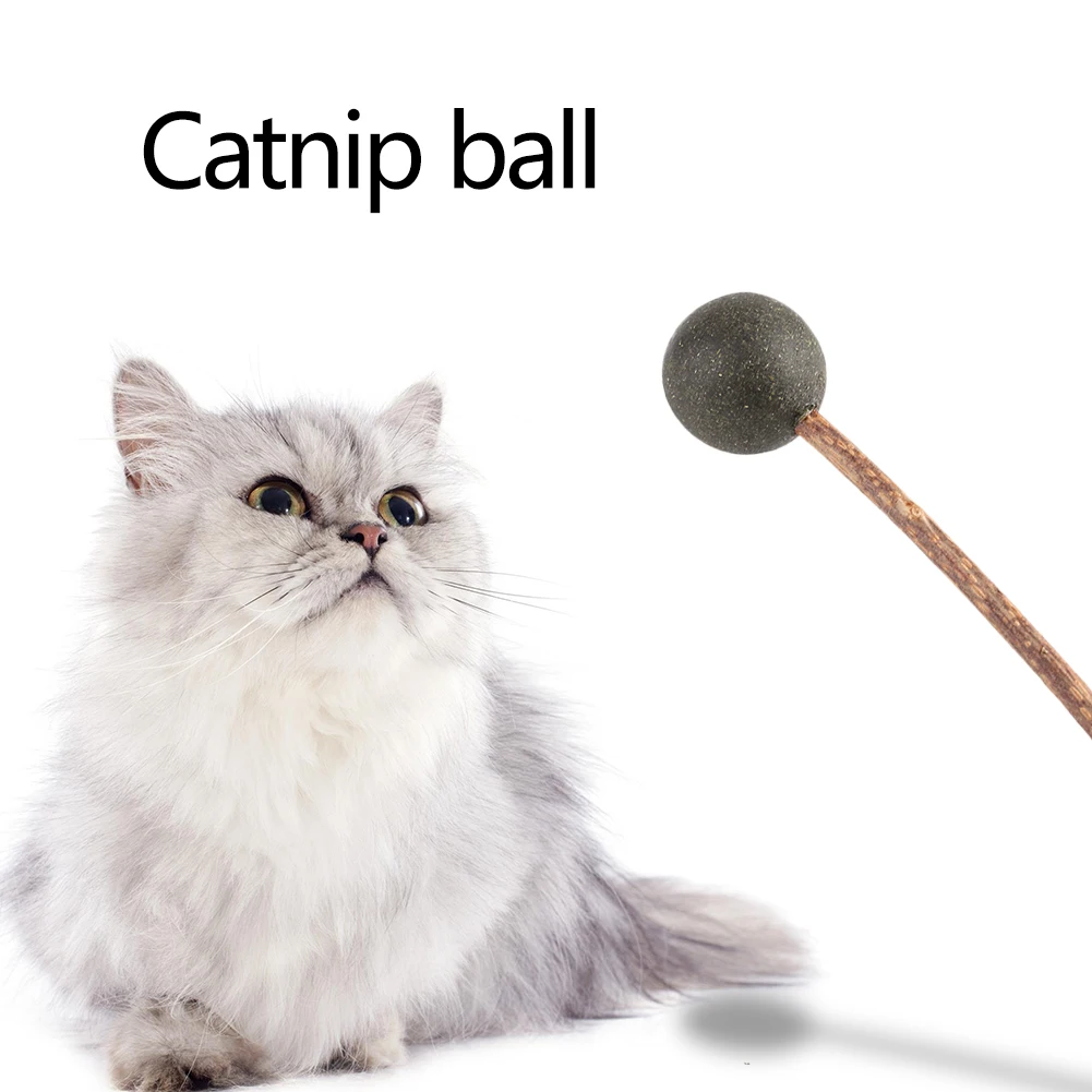 Pet Teeth Cleaning Mint Catnip Toys Chewing Candy Ball Cat Tease Stick Durability Funny Bite Squeak Toys