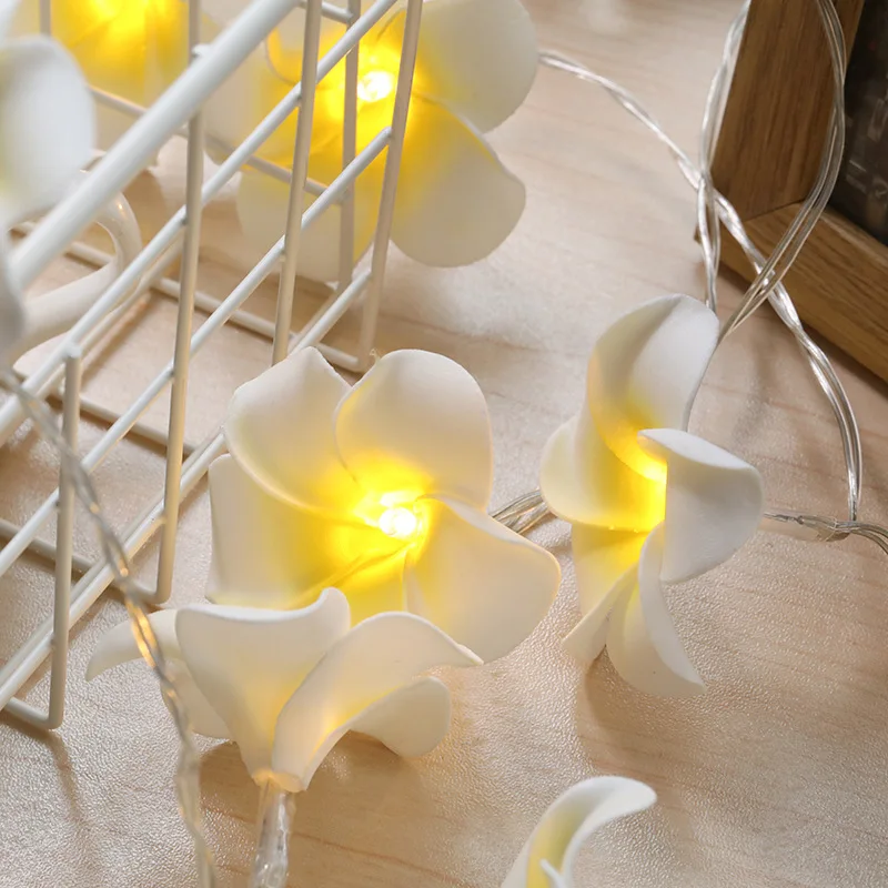 Manufacturers Direct Selling Plumeria Rubra Lighting Chain LED String Lamp Colorful Lights INS Decoration Imitation Flowers Stri
Manufacturers Direct Selling Plumeria Rubra Lighting Chain LED String Lamp Colorful Lights INS Decoration Imitation Flowers Stri