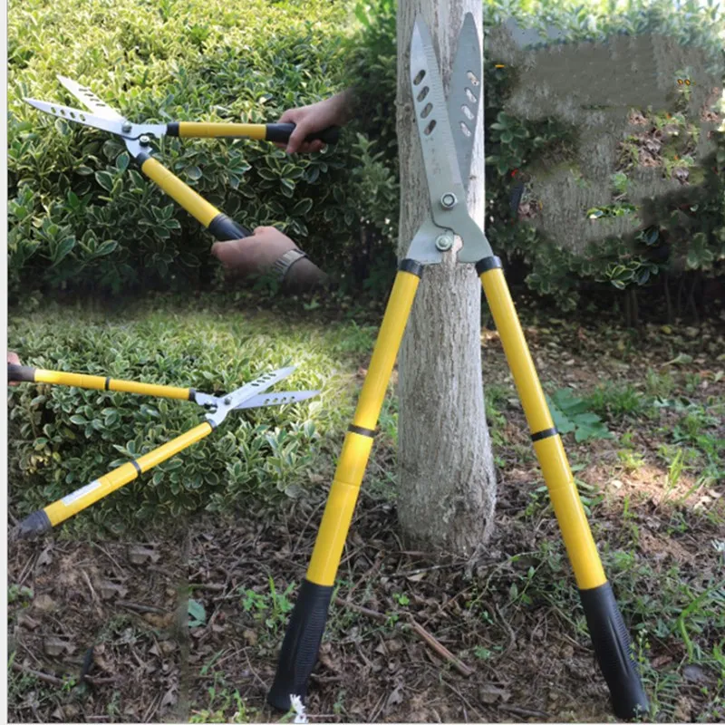 Lawn Cutters Big Flowers Cutters Hedgerow Cutters Hedgerow Cutters Green Scissors Holly Scissors Pruning Iron Handle
Lawn Cutters Big Flowers Cutters Hedgerow Cutters Hedgerow Cutters Green Scissors Holly Scissors Pruning Iron Handle