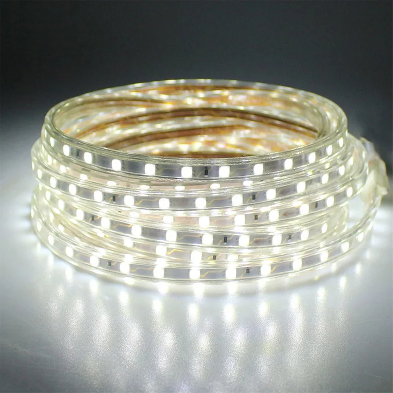 5050 220V W