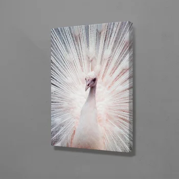 White peacock Canvas Wall Art Decoration poster prints for living room Home bedroom decor Painting 
White peacock Canvas Wall Art Decoration poster prints for living room Home bedroom decor Painting
