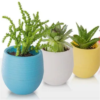 Solid Mini Colourful Plastic Round Plastic Plant Flower Small Pot Garden Home Office Decor Planter
Solid Mini Colourful Plastic Round Plastic Plant Flower Small Pot Garden Home Office Decor Planter
