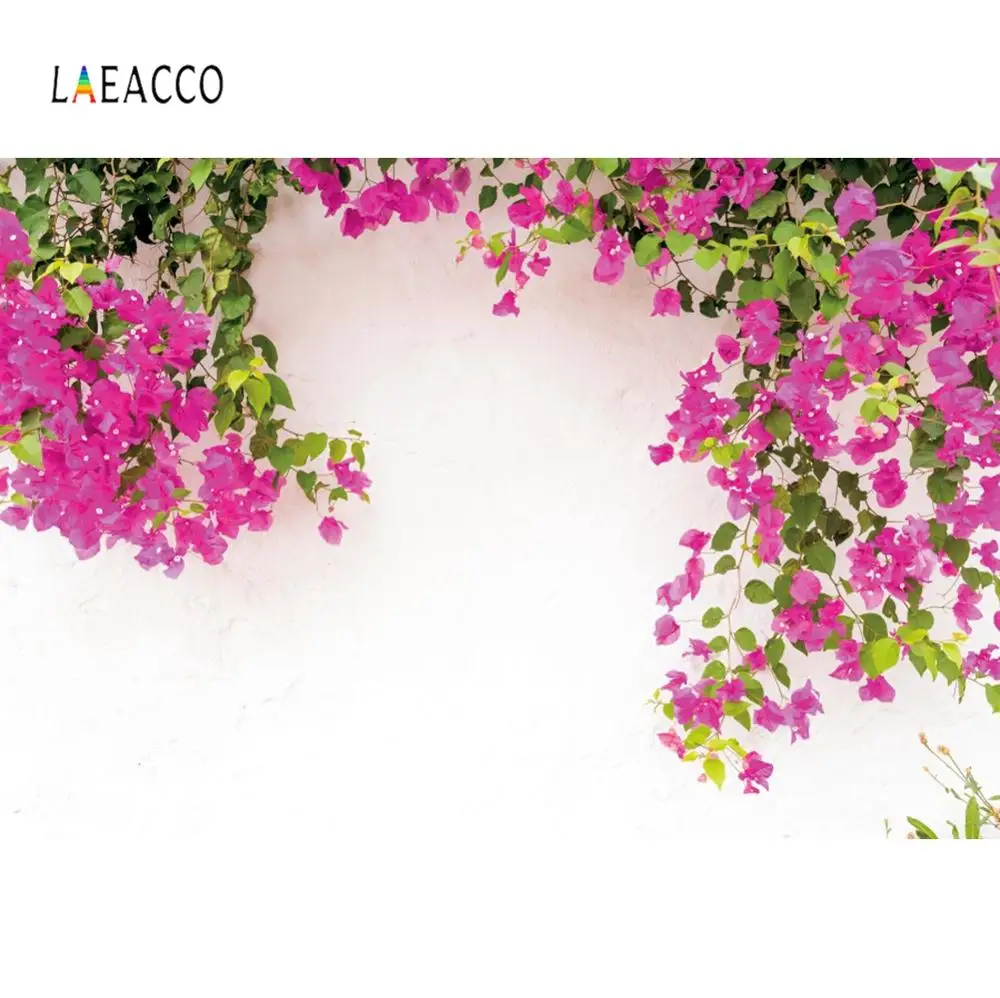 Laeacco Flowers Green Screen Whiteboard Photophone Photography Backgrounds Custom Photographic Backdrops Props For Photo Studio
Laeacco Flowers Green Screen Whiteboard Photophone Photography Backgrounds Custom Photographic Backdrops Props For Photo Studio
