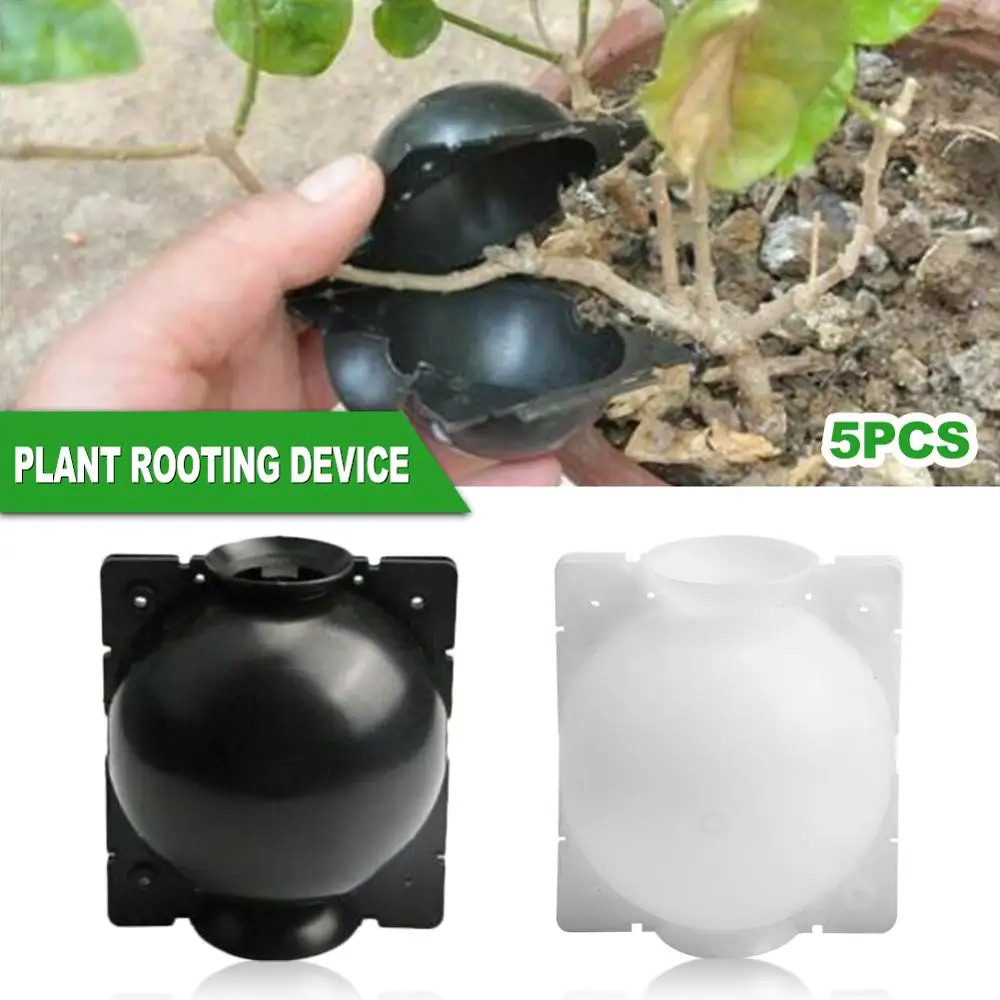 5PCS Plant Rooting Device High Pressure Propagation Ball High Pressure Box Grafting Plant Propagator
5PCS Plant Rooting Device High Pressure Propagation Ball High Pressure Box Grafting Plant Propagator