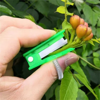 1Pc Multifunctional Thumb Knife Safe Fruit Blade Tool Garden Pruner Fruit Picking Device Cutting Blade Rings Finger Protector
1Pc Multifunctional Thumb Knife Safe Fruit Blade Tool Garden Pruner Fruit Picking Device Cutting Blade Rings Finger Protector