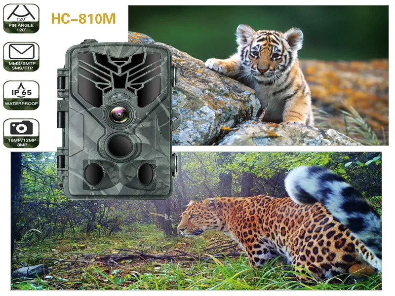 Infrared Camera Equipment 16MP1080P Hunting Accessory Infrared Camera Outdoor Portable HC-810M 2G Waterproof High Definition
Infrared Camera Equipment 16MP1080P Hunting Accessory Infrared Camera Outdoor Portable HC-810M 2G Waterproof High Definition