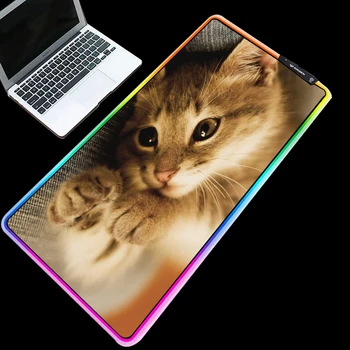 Yuzuoan XXL Mouse Pad Animal Cute Cat USB Adjustable Breathing Light LED Color Lighting Rubber Wear Large RGB Gaming Mouse Pad
Yuzuoan XXL Mouse Pad Animal Cute Cat USB Adjustable Breathing Light LED Color Lighting Rubber Wear Large RGB Gaming Mouse Pad