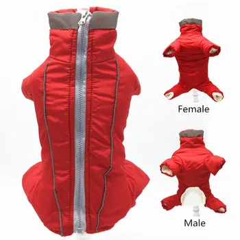 Dog Clothes Winter Warm Clothes For Small Dogs Waterproof Puppy Pet Jacket Reflective Dog Coat Chihuahua Pug Jumpsuits Clothing
Dog Clothes Winter Warm Clothes For Small Dogs Waterproof Puppy Pet Jacket Reflective Dog Coat Chihuahua Pug Jumpsuits Clothing