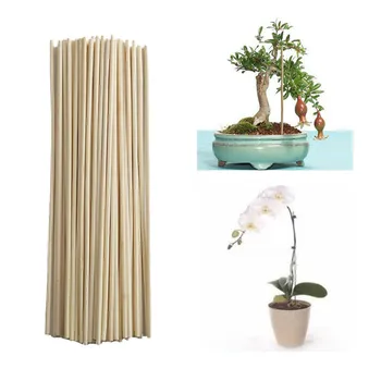 50pcs Bamboo Plant Sticks Wooden Plant Grow Support for Flower Stick Stands Agriculture Garden Bonsai Tool
50pcs Bamboo Plant Sticks Wooden Plant Grow Support for Flower Stick Stands Agriculture Garden Bonsai Tool