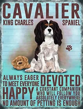 Cavalier King Charles Spaniel small steel sign 8" x 6" (og 2015) 
Cavalier King Charles Spaniel small steel sign 8" x 6" (og 2015)