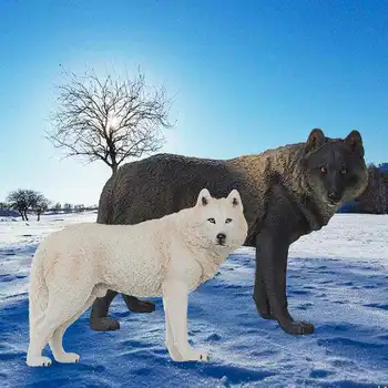 1/6 Scale Realistic Wolf Animal Model Figurine Kid Children Figurines Educational Toy Action Figure Simulation Toy Kids Gift
1/6 Scale Realistic Wolf Animal Model Figurine Kid Children Figurines Educational Toy Action Figure Simulation Toy Kids Gift