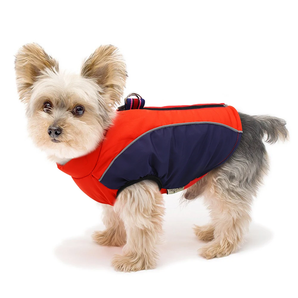 dog jacket for cold weather