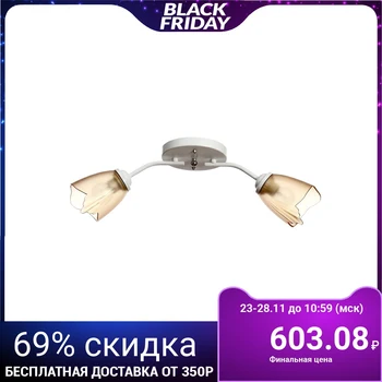 Chandelier 1341004/2BR E27 15 W White 4533447
Chandelier 1341004/2BR E27 15 W White 4533447