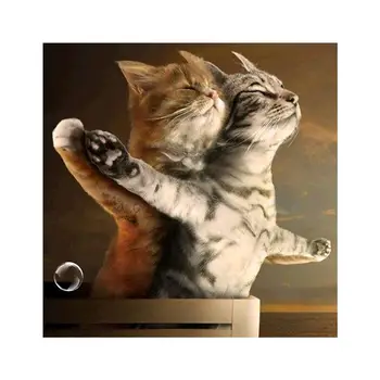5D DIY Diamond Painting Cross Stitch Cute Kitten Diamond Diamond Needlework Picture Mosaic KBL Embroidery Q1Q3
5D DIY Diamond Painting Cross Stitch Cute Kitten Diamond Diamond Needlework Picture Mosaic KBL Embroidery Q1Q3
