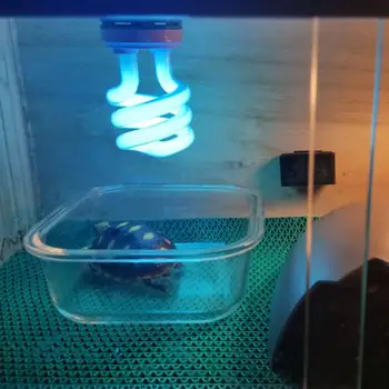 Ultraviolet Light Bulb E27 5.0 10.0 UVB 13W LED Lamps Pet Reptile Light Glow Lamp Daylight Bulbs For Tortoise Fish Amphibians
Ultraviolet Light Bulb E27 5.0 10.0 UVB 13W LED Lamps Pet Reptile Light Glow Lamp Daylight Bulbs For Tortoise Fish Amphibians