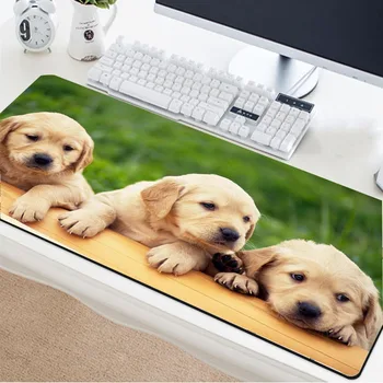 Yuzuoan cute puppy dog pattern mouse pad natural rubber non-slip table mat desktop decoration pad lock edge notebook pad
Yuzuoan cute puppy dog pattern mouse pad natural rubber non-slip table mat desktop decoration pad lock edge notebook pad