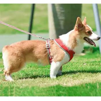 Dog Harness Adjustable Reflective Polyester Mesh Vest Breast-band Breathable For Small Dogs Lead Dog Leash Collar Pet Products
Dog Harness Adjustable Reflective Polyester Mesh Vest Breast-band Breathable For Small Dogs Lead Dog Leash Collar Pet Products