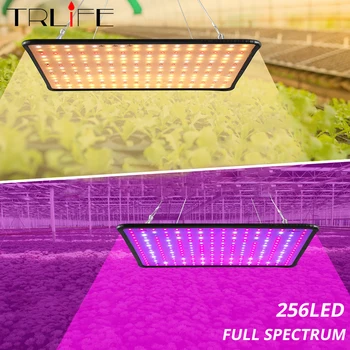 6000W LED Grow Light 265V Phytolamp For Plant 2835 Lamp Beads Quantum Board Growth Lighting Full Spectrum Hydroponics Plant Lamp
6000W LED Grow Light 265V Phytolamp For Plant 2835 Lamp Beads Quantum Board Growth Lighting Full Spectrum Hydroponics Plant Lamp