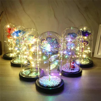 Rose Ornaments Glass Lampshade Wooden Base Artificial Flower Christmas Decoration Lights Simulation LED Night Light
Rose Ornaments Glass Lampshade Wooden Base Artificial Flower Christmas Decoration Lights Simulation LED Night Light