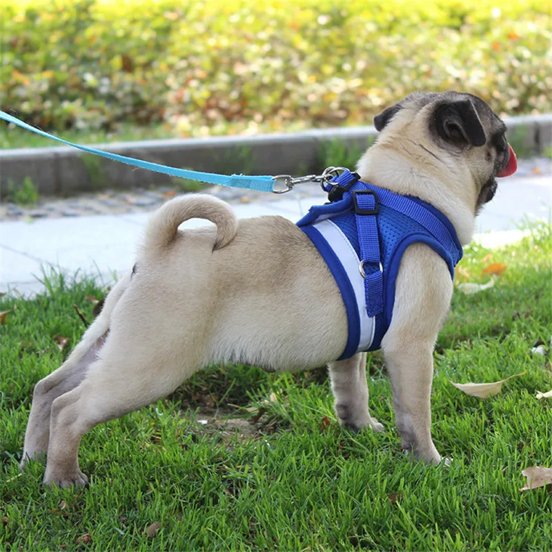Cat Dog Harness Reflective Vest Dog Belt Pet Out Adjustable Harness Vest Hand Strap Suitable For Small And Medium Cat Dog Pet
Cat Dog Harness Reflective Vest Dog Belt Pet Out Adjustable Harness Vest Hand Strap Suitable For Small And Medium Cat Dog Pet