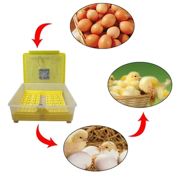 New Automatic Incubator Brooder Farm Hatchery Machine 48 Egg Hatcher Chicken Automatic Egg Incubator Goose Bird Quail Brooder
New Automatic Incubator Brooder Farm Hatchery Machine 48 Egg Hatcher Chicken Automatic Egg Incubator Goose Bird Quail Brooder