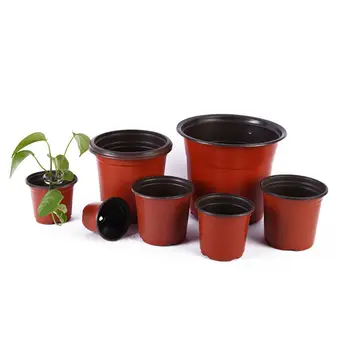 10pcs Soft Plastic Flower Pots Two-color Durable Succulent Plant Pot Seedling Tray Nursery Container For Garden Decoration
10pcs Soft Plastic Flower Pots Two-color Durable Succulent Plant Pot Seedling Tray Nursery Container For Garden Decoration