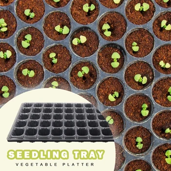 Nursery Pots 6PCS/Pack 50 Cells Seedling Starter Tray Seed Germination Plant Flower Pots Grow Box Seedling Tray For Home Garden
Nursery Pots 6PCS/Pack 50 Cells Seedling Starter Tray Seed Germination Plant Flower Pots Grow Box Seedling Tray For Home Garden