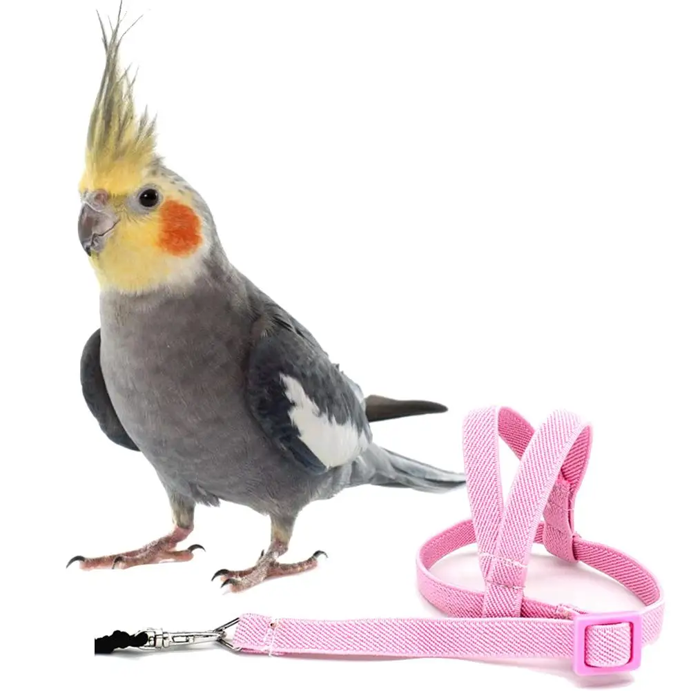 Anti-bite Flying Training Rope Parrot Bird Pet Leash Kits Ultralight Harness Leash Soft Portable Pet Playthings Hot Sale #CO
Anti-bite Flying Training Rope Parrot Bird Pet Leash Kits Ultralight Harness Leash Soft Portable Pet Playthings Hot Sale #CO