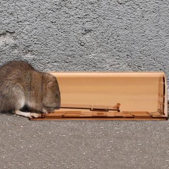 Plastic Mouse Trap Small Kit Humane Live Rodent Mousetrap Reusable Rat Catcher Cage for Household Kitchen Protection
Plastic Mouse Trap Small Kit Humane Live Rodent Mousetrap Reusable Rat Catcher Cage for Household Kitchen Protection