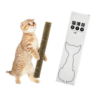 2 Pcs Pet Catnip Molar Stick Set For Cats Interactive Pet Cat Teaser Natural Chew Toy1
2 Pcs Pet Catnip Molar Stick Set For Cats Interactive Pet Cat Teaser Natural Chew Toy1
