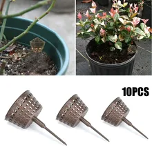 10Pcs Garden Bonsai Fertilizer Box Tool Basket Case Plastic Control Fertilizer Dissolve Plant Portable With Lid Garden Supplies
10Pcs Garden Bonsai Fertilizer Box Tool Basket Case Plastic Control Fertilizer Dissolve Plant Portable With Lid Garden Supplies