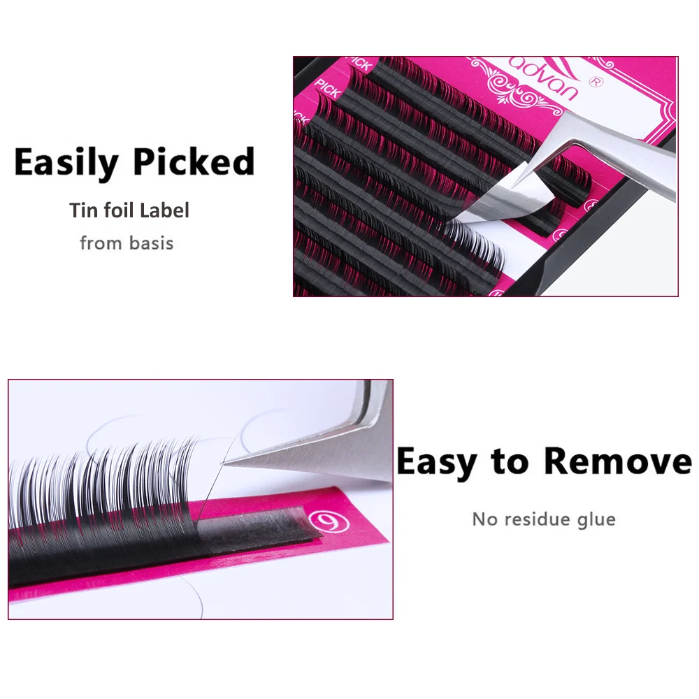 lash-1