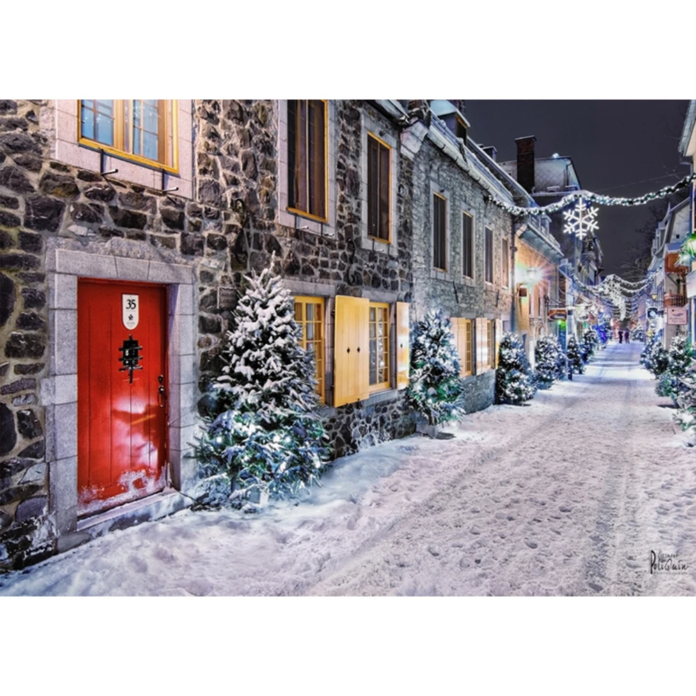Christmas Tree snow Vintage Building Street Photography Backdrop Photo Studio Background for Children Baby Photoshoot prop
Christmas Tree snow Vintage Building Street Photography Backdrop Photo Studio Background for Children Baby Photoshoot prop
