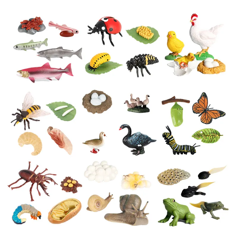 15 Sets Simulation Insects Animals Plant Seed Life Growth Cycle Model Mini Frog Chicken Turtle Snail Biology Kids Education Toys
15 Sets Simulation Insects Animals Plant Seed Life Growth Cycle Model Mini Frog Chicken Turtle Snail Biology Kids Education Toys