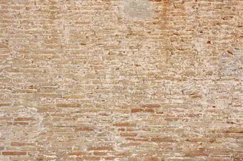 SHENGYONGBAO Vinyl Custom Photography Backdrops Prop Brick Wall National Flag Theme Photo Studio Background TT19128-3010
SHENGYONGBAO Vinyl Custom Photography Backdrops Prop Brick Wall National Flag Theme Photo Studio Background TT19128-3010