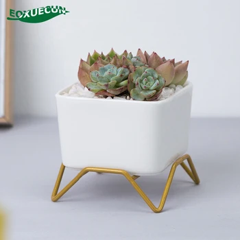 Creative White Bonsai Pot Ceramic Square Small Flower Pot with Gold Flowerpot Stand Succulent Pot Cactus Planter Indoor Mini Pot
Creative White Bonsai Pot Ceramic Square Small Flower Pot with Gold Flowerpot Stand Succulent Pot Cactus Planter Indoor Mini Pot