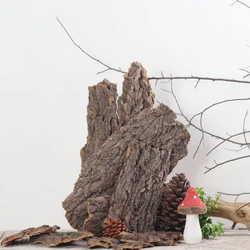 1PC 5PCS Dried Tree Bark Natural Dry Branches DIY Background Decorative Materials For Photograph Props
1PC 5PCS Dried Tree Bark Natural Dry Branches DIY Background Decorative Materials For Photograph Props