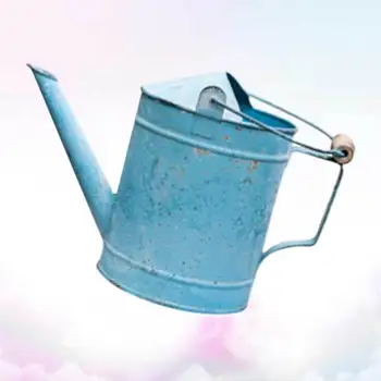 Watering Pot Flowerpot Adornment Iron Flower Watering Pot Retro Desktop Adornment (Style A)
Watering Pot Flowerpot Adornment Iron Flower Watering Pot Retro Desktop Adornment (Style A)