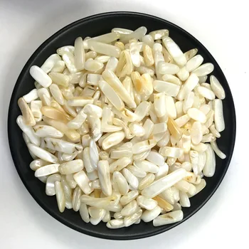 Wholesale Natural White Shell Stone Healing Crystal Strip Gravel Quartz Mineral Lovely Fish Tank FlowerPot Garden Home Ornament 
Wholesale Natural White Shell Stone Healing Crystal Strip Gravel Quartz Mineral Lovely Fish Tank FlowerPot Garden Home Ornament