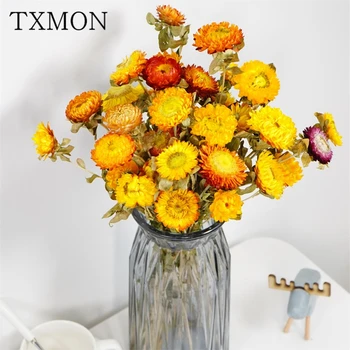 Natural 20 Heads Daisy Dried Flower Bouquet Real Flower Air Dried Ins Decorative Ornaments DIY Flower Arrangement Shooting Props
Natural 20 Heads Daisy Dried Flower Bouquet Real Flower Air Dried Ins Decorative Ornaments DIY Flower Arrangement Shooting Props